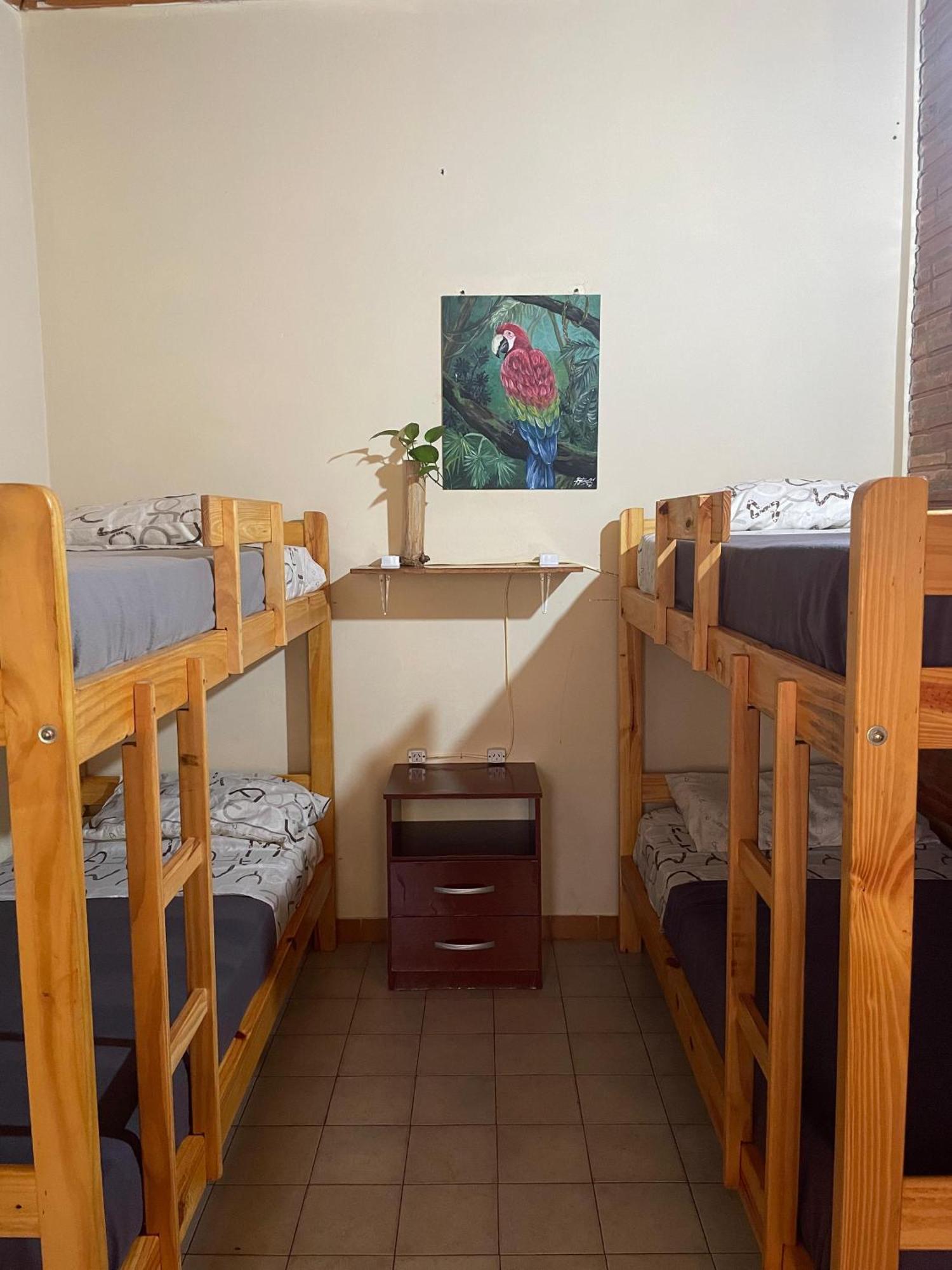 Bungalow Hostel Iguazu Puerto Iguazu Exterior photo